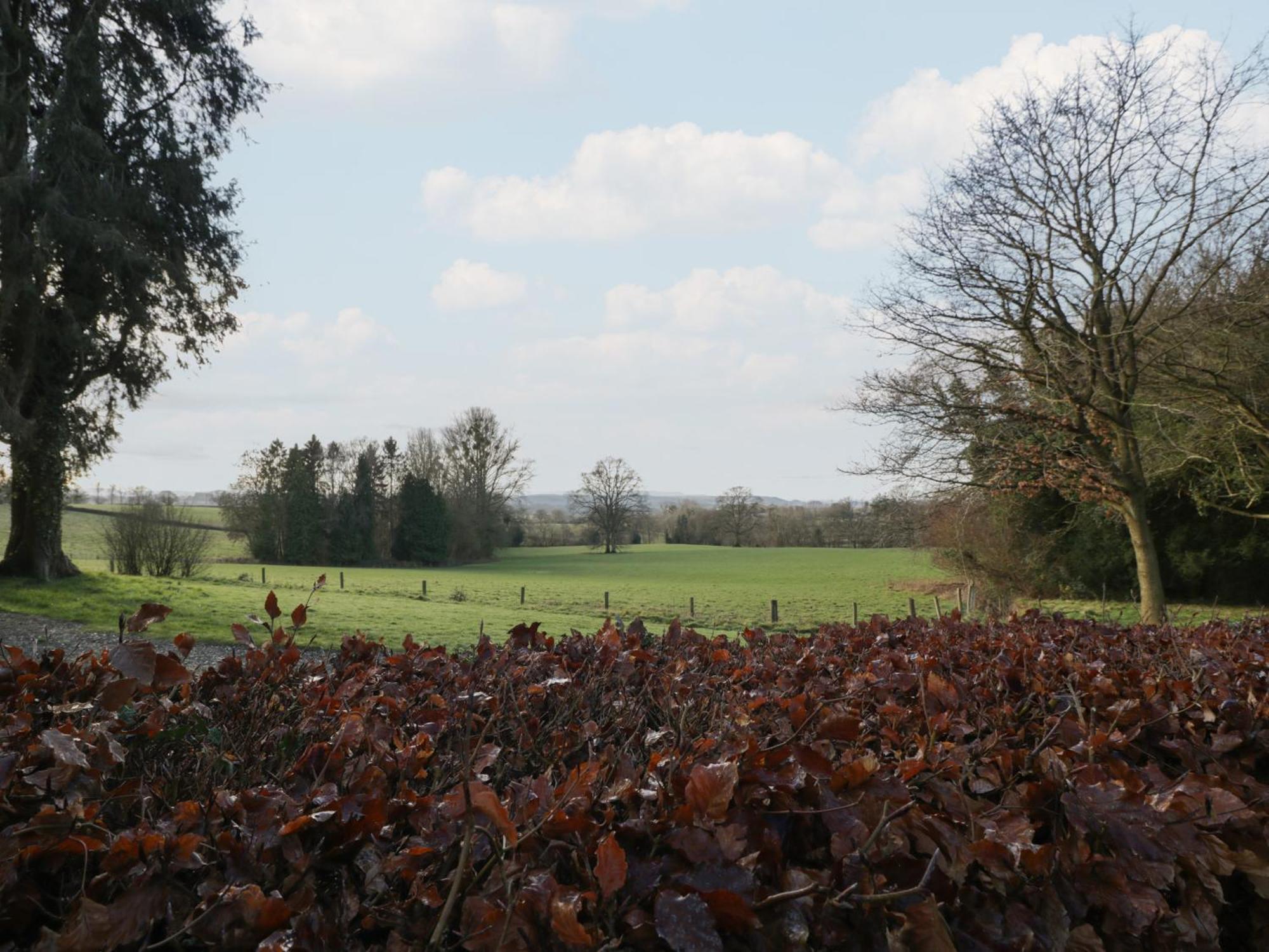 Woodlands Cottage Leominster Bagian luar foto