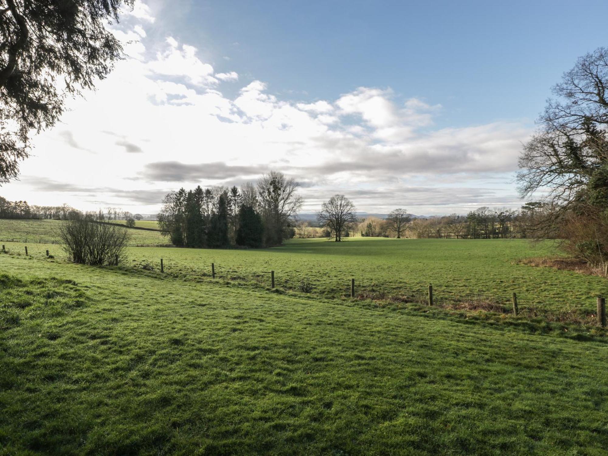 Woodlands Cottage Leominster Bagian luar foto